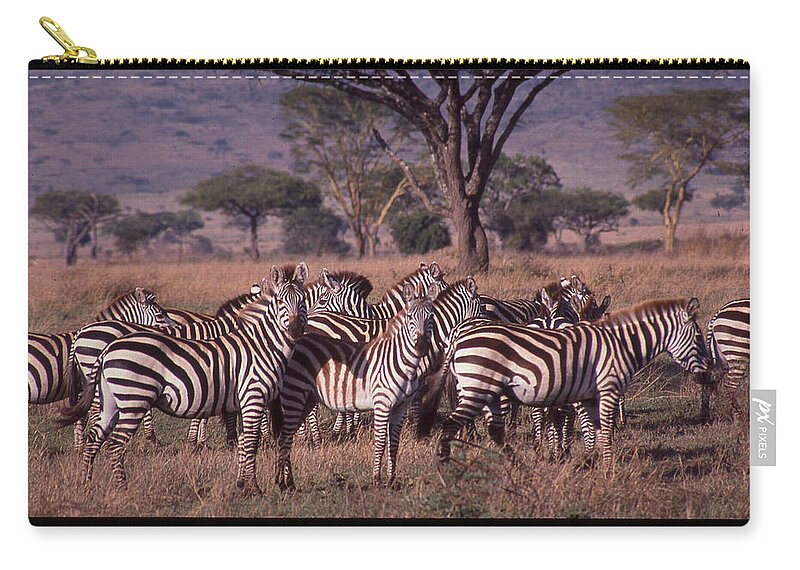 Africa Zip Pouch featuring the photograph Zebra Herd by Russel Considine