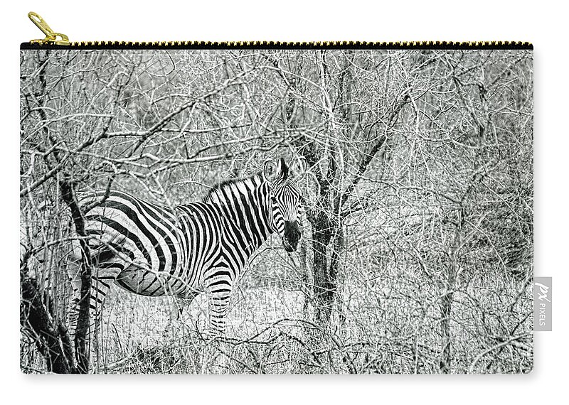 Zebra Zip Pouch featuring the photograph Zebra In The Bush by Tom Watkins PVminer pixs