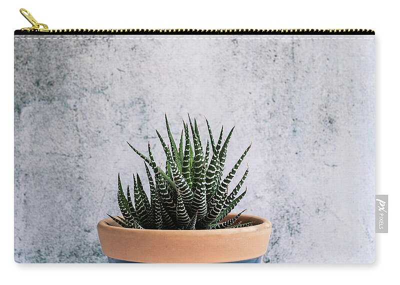 Plant Zip Pouch featuring the photograph Zebra Plant - Striped Succulent by Jennifer Walsh