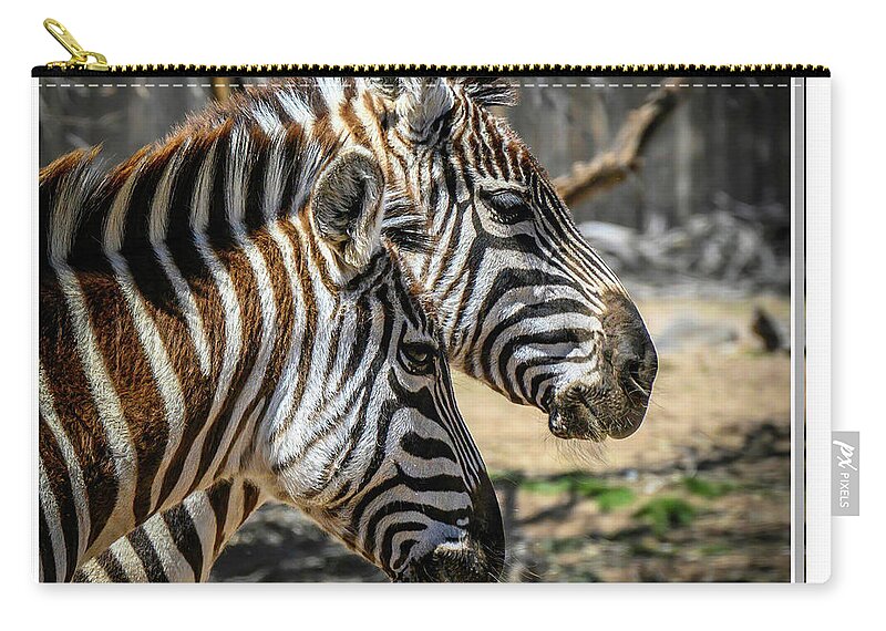 Zebra Zip Pouch featuring the photograph Zebras by Will Wagner
