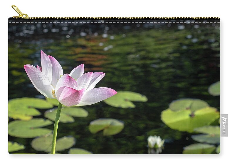 Zen Beauty Carry-all Pouch featuring the photograph Zen Beauty by Patty Colabuono