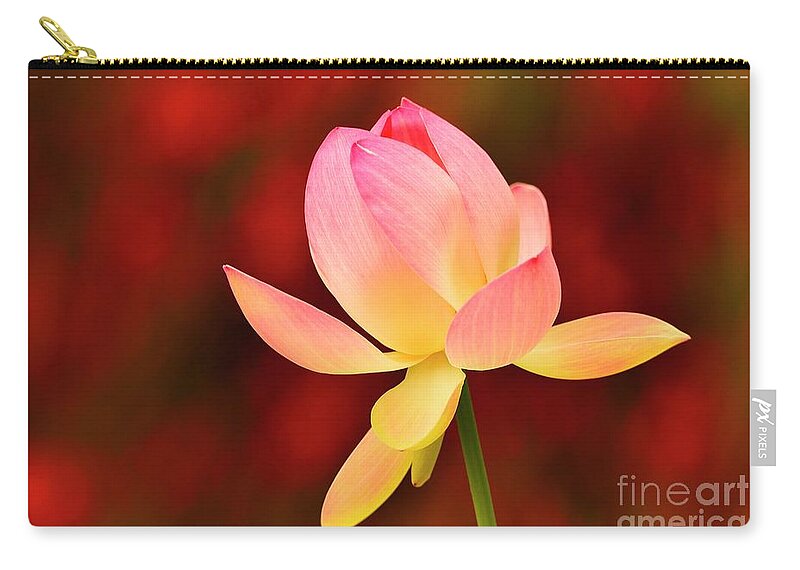 Flower Carry-all Pouch featuring the photograph Impressions by John F Tsumas