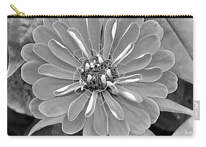 Monotone Zip Pouch featuring the photograph Zinnia 1 by Colleen Casner