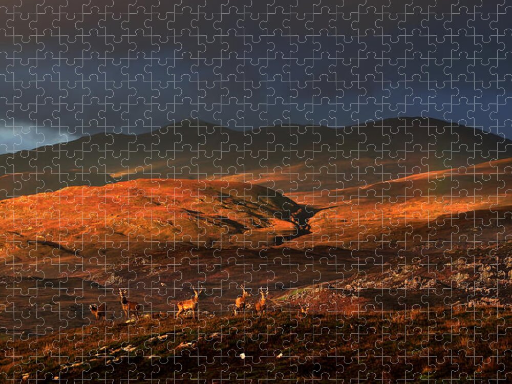  Beinn A' Bha' Ach Ard Jigsaw Puzzle featuring the photograph Beinn a' Bha' ach Ard by Gavin Macrae