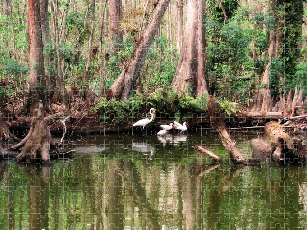 Nature Jigsaw Puzzle featuring the photograph Cypress Swamp by Peggy Urban