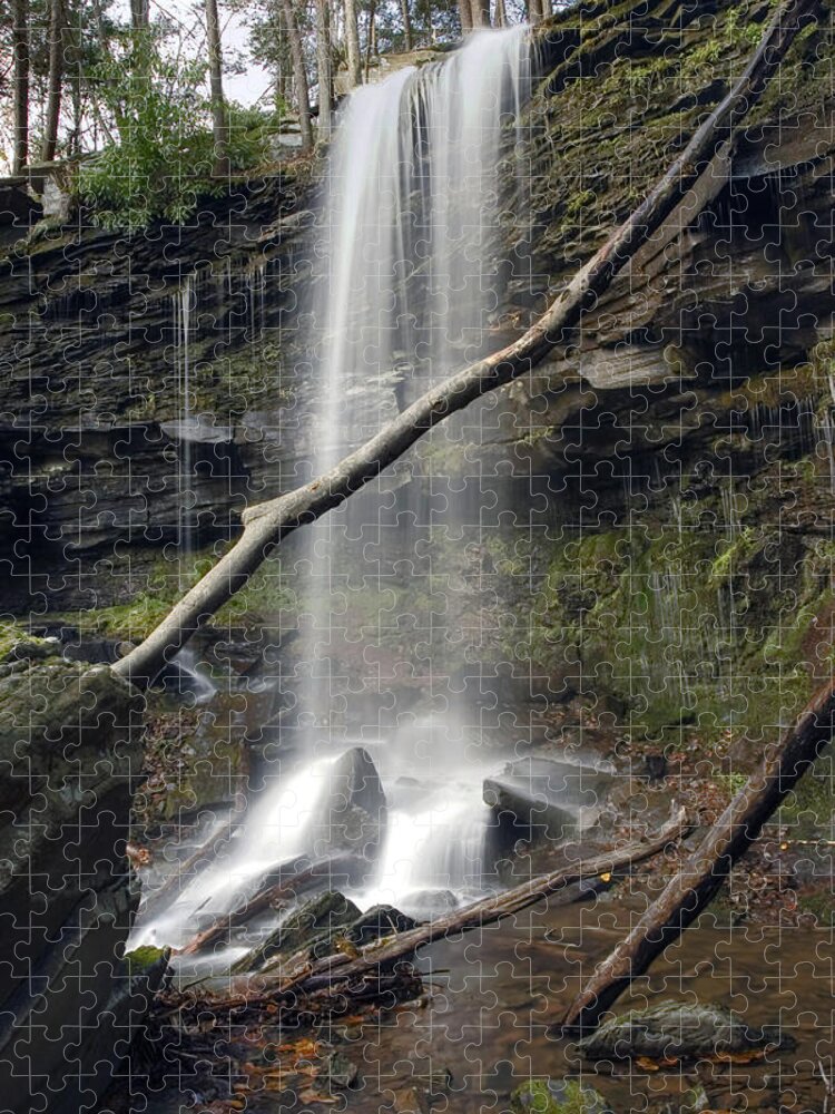Autumn Jigsaw Puzzle featuring the photograph Jocaby Falls Behind The Fallen Trees by Gene Walls