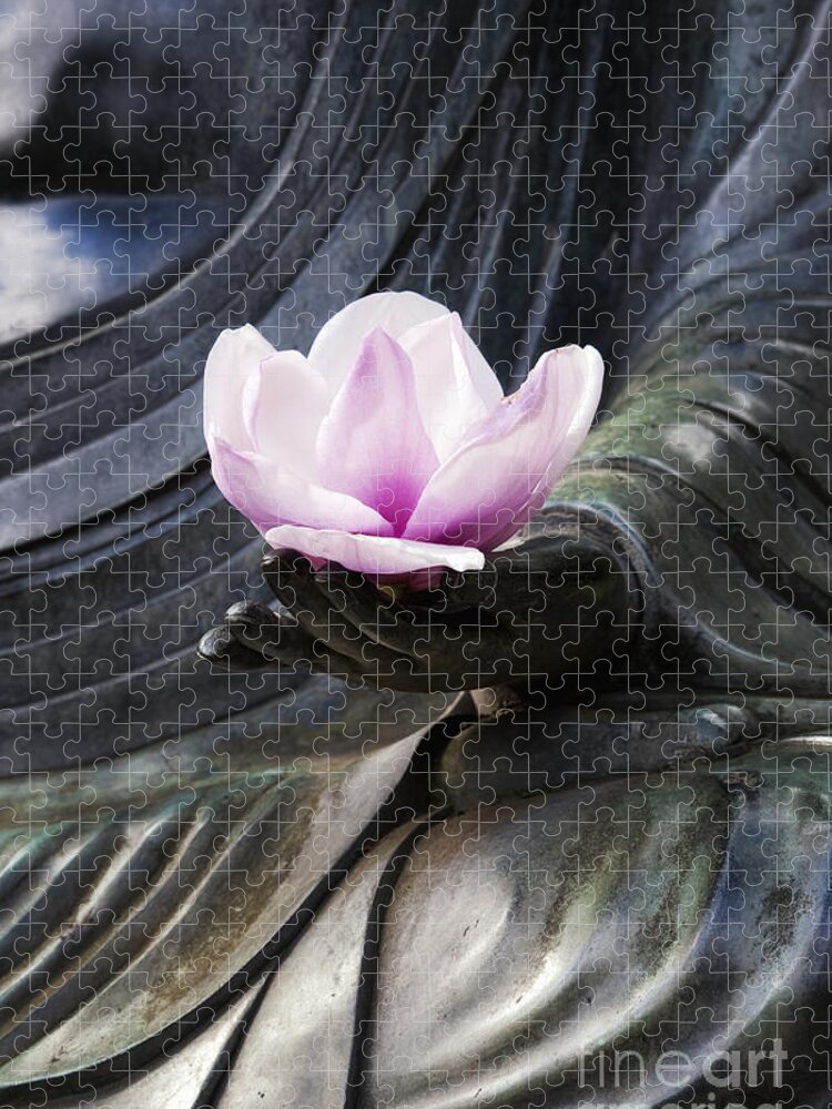 Buddha Jigsaw Puzzle featuring the photograph A Gift #2 by Tim Gainey