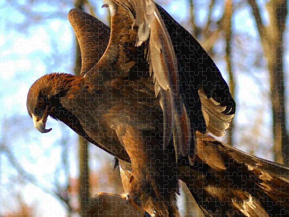 A Golden Eagle Jigsaw Puzzle featuring the photograph A Golden Eagle #1 by Raymond Salani III
