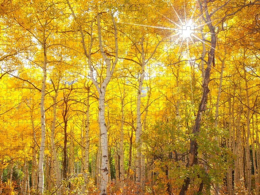 Aspens Jigsaw Puzzle featuring the photograph Aspen Morning by Darren White