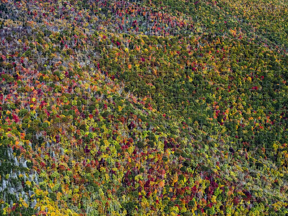 Blue Ridge Parkway Jigsaw Puzzle featuring the photograph Autumn Colors Along The Blue Ridge Parkway in Western North Carolina #2 by David Oppenheimer