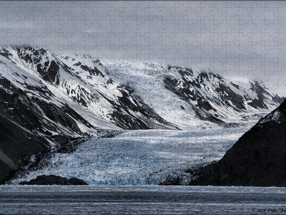 Glacier Jigsaw Puzzle featuring the photograph Barry Arm #1 by Erika Fawcett