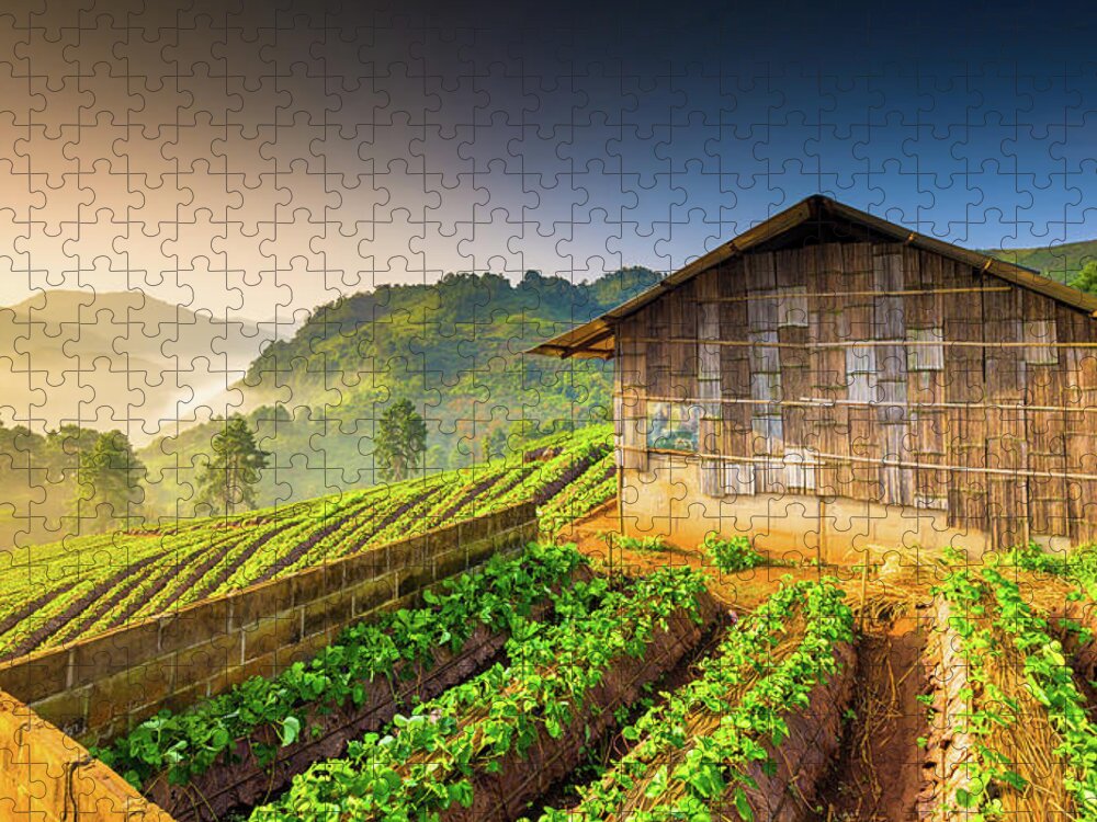 Thailand Jigsaw Puzzle featuring the photograph Beautiful Sunshine At Misty Morning #1 by Primeimages