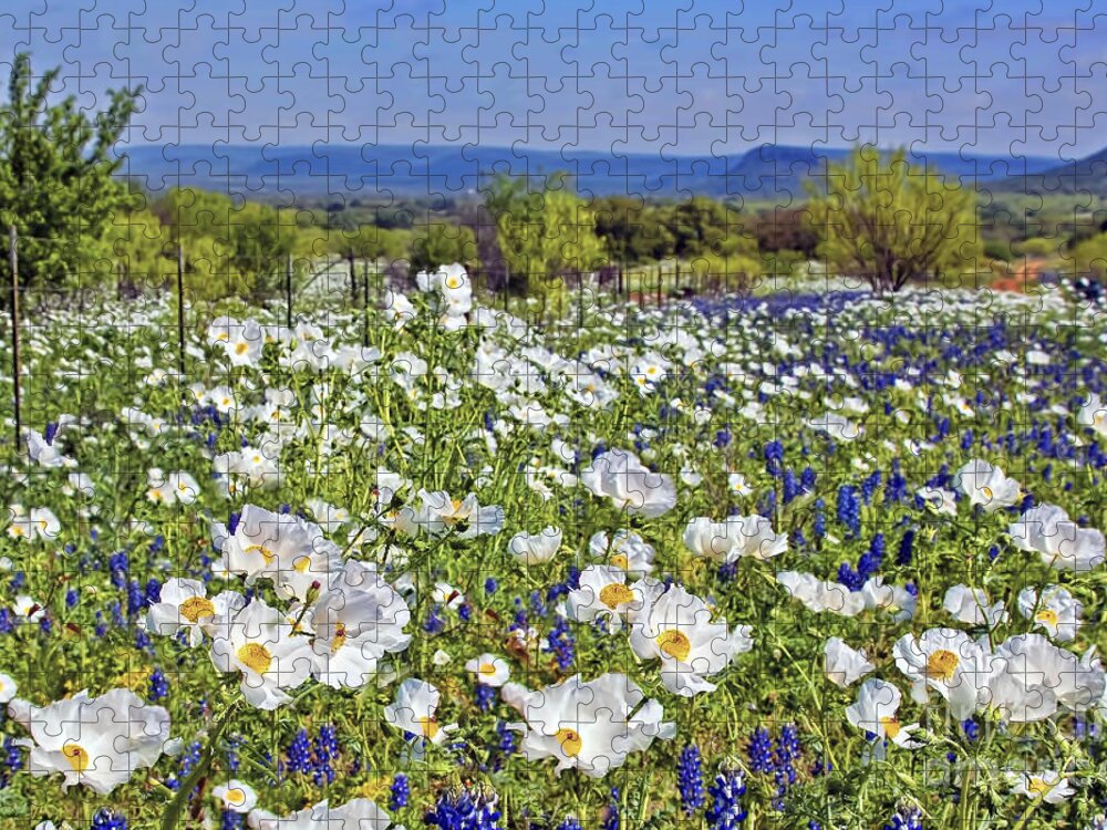 Poppy Jigsaw Puzzle featuring the photograph Blue and White by Gary Holmes