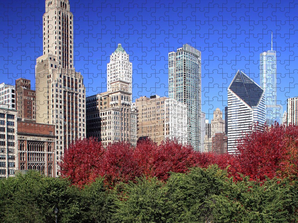 Downtown District Jigsaw Puzzle featuring the photograph Chicago Skyline And Millennium Park #1 by Hisham Ibrahim