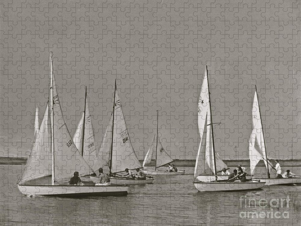 Comet Class Sailboat Jigsaw Puzzle featuring the photograph Comet Race in Black and White #1 by Nancy Patterson