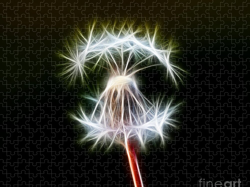 Nature Jigsaw Puzzle featuring the digital art Dandelion #6 by Michal Boubin