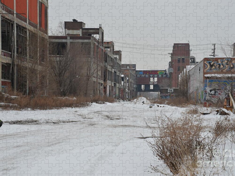 Detroit Jigsaw Puzzle featuring the photograph Detroit PACKARD PLANT #1 by Randy J Heath