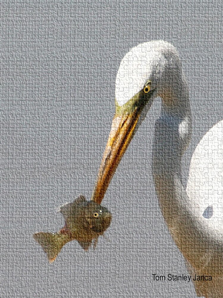 Egret Eats Fish Jigsaw Puzzle featuring the photograph Egret Eats Fish #1 by Tom Janca