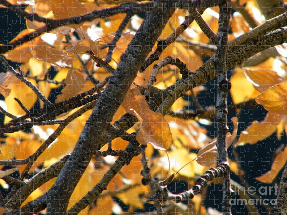 Fall Jigsaw Puzzle featuring the photograph Fall Leaves #1 by Ann E Robson