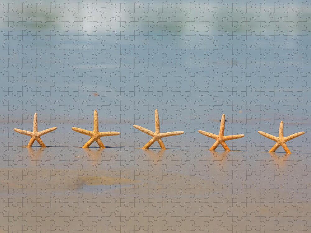 Starfish Jigsaw Puzzle featuring the photograph Five Star Beach Holiday Concept #1 by David Freund