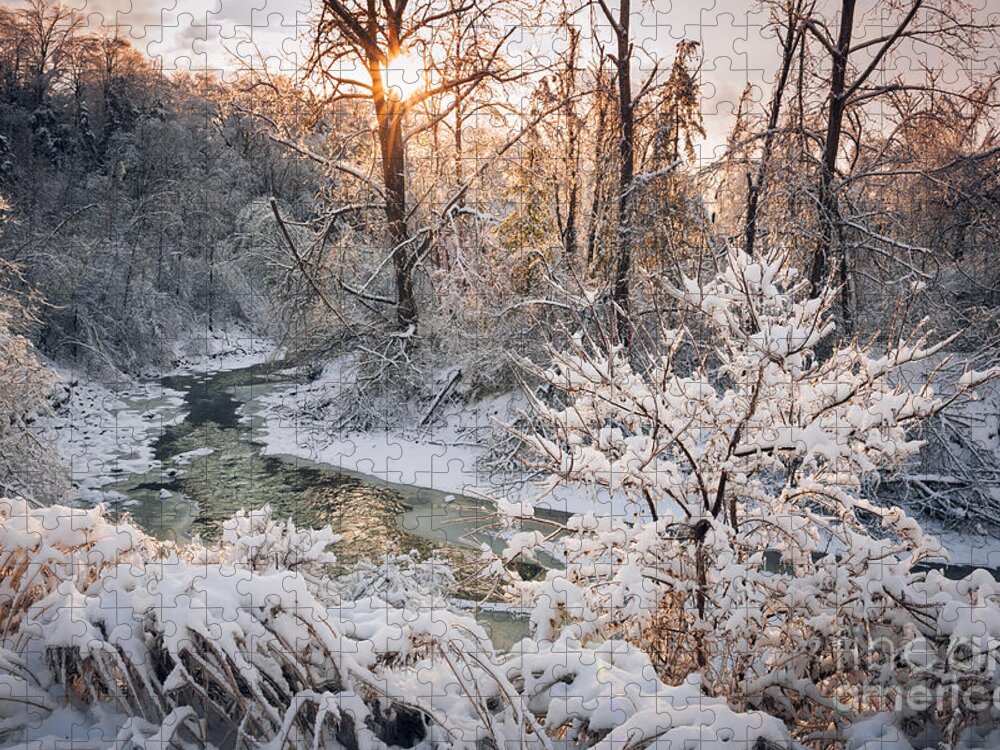 Winter Jigsaw Puzzle featuring the photograph Forest creek after winter storm 4 by Elena Elisseeva
