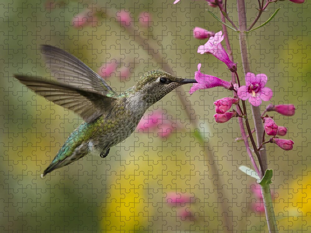Hummingbird Jigsaw Puzzle featuring the photograph Hummingbird Heaven #3 by Saija Lehtonen