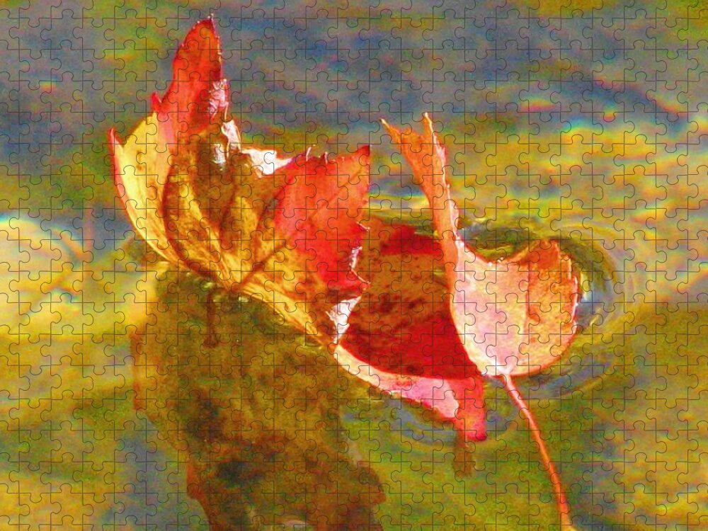 Leaves Jigsaw Puzzle featuring the photograph Last Dance by Angela Davies