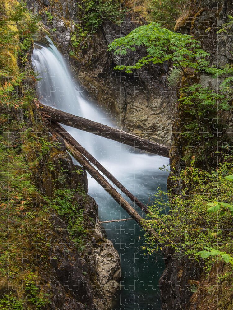 British Columbia Jigsaw Puzzle featuring the photograph Little Qualicum Falls #1 by Carrie Cole