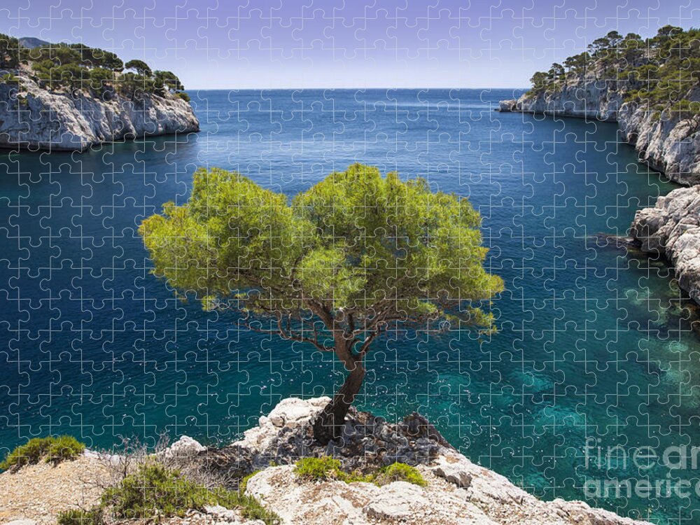 France Jigsaw Puzzle featuring the photograph Lone Pine Tree Provence France by Brian Jannsen