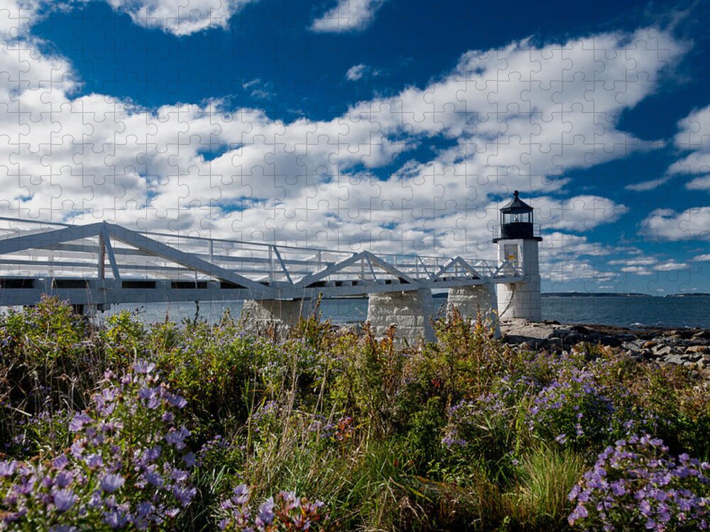 Lighthouse Jigsaw Puzzle featuring the photograph Marshall Point Lighthouse #2 by David Smith