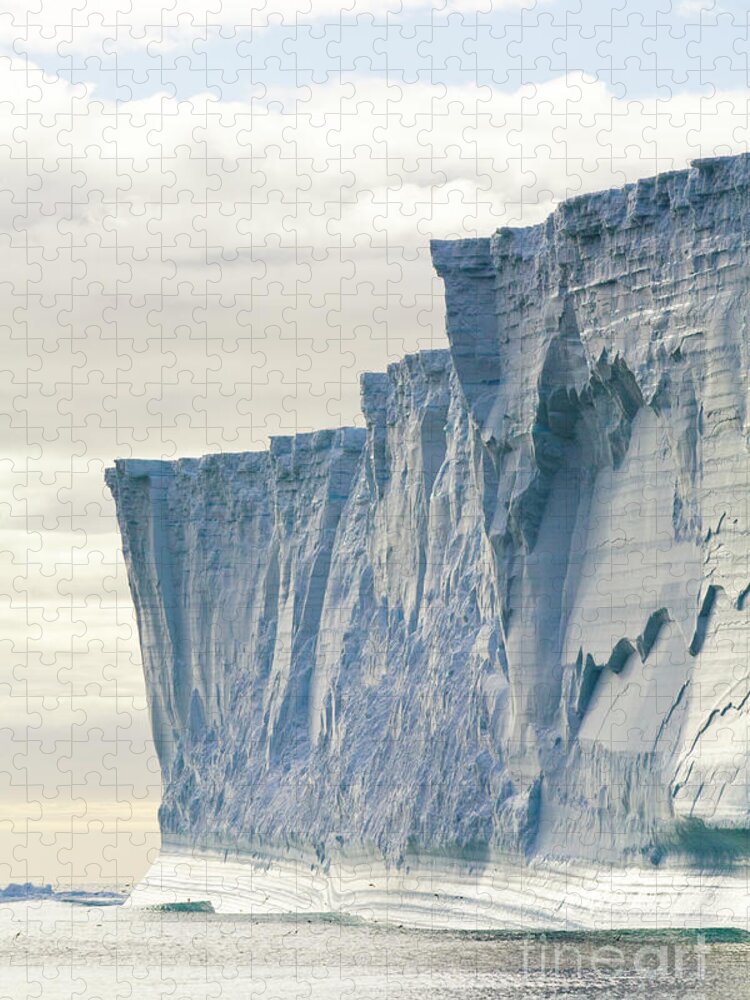 00346005 Puzzle featuring the photograph Massive Iceberg South Georgia by Yva Momatiuk John Eastcott