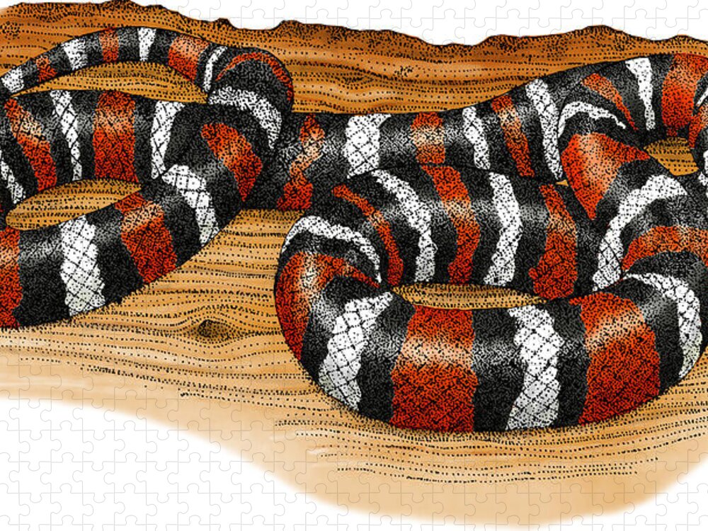 Art Jigsaw Puzzle featuring the photograph Mountain Kingsnake by Roger Hall