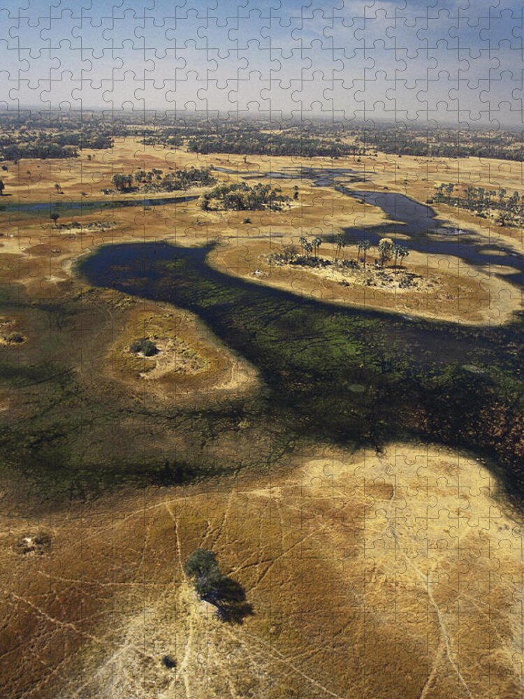 Aerial Jigsaw Puzzle featuring the photograph Okavango Delta #1 by F. Stuart Westmorland