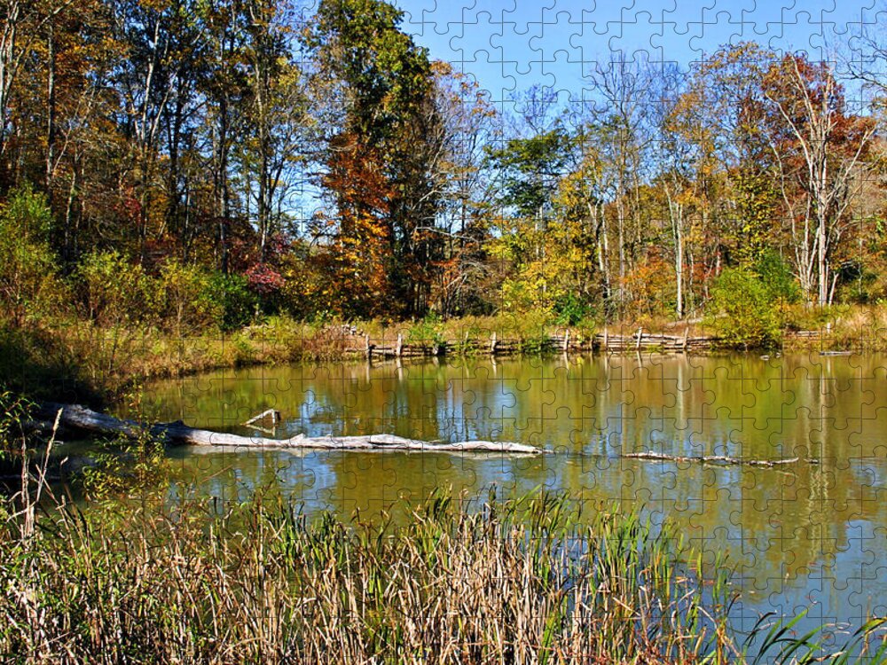 Autumn Jigsaw Puzzle featuring the photograph Peaceful Place #1 by Kristin Elmquist