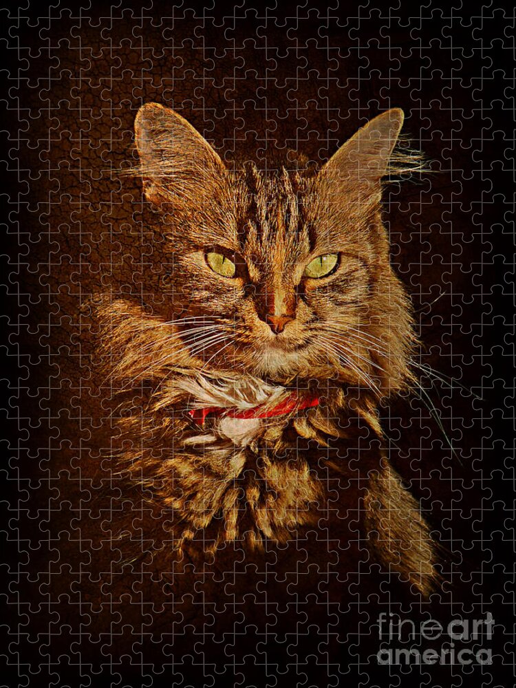 Cat Jigsaw Puzzle featuring the photograph Portrait of a tramp cat #2 by Binka Kirova