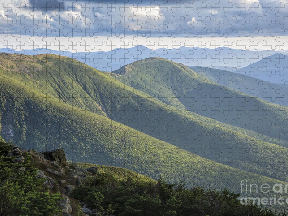 Black Spruce - Balsam Fir Krummholz Jigsaw Puzzle featuring the photograph Presidential Range - White Mountains New Hampshire #1 by Erin Paul Donovan