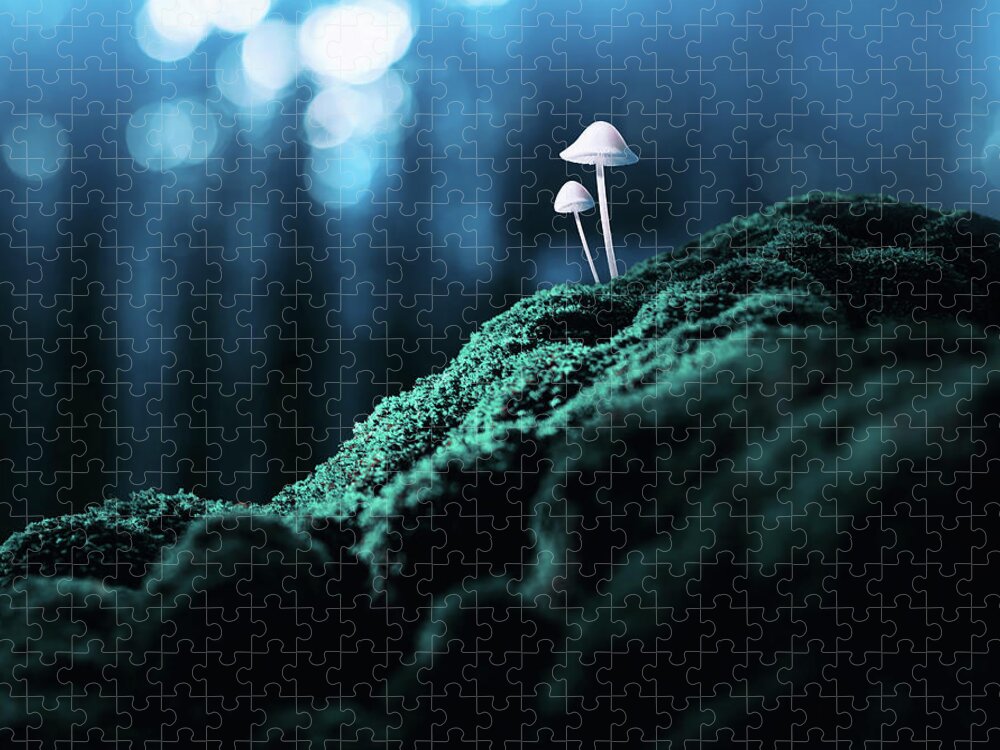 Scenics Jigsaw Puzzle featuring the photograph Psychedelic Mushrooms #1 by Misha Kaminsky