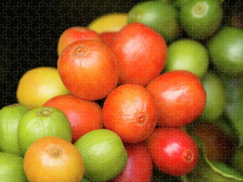 Outdoors Jigsaw Puzzle featuring the photograph Ripe Coffee Cherries #1 by Dustypixel
