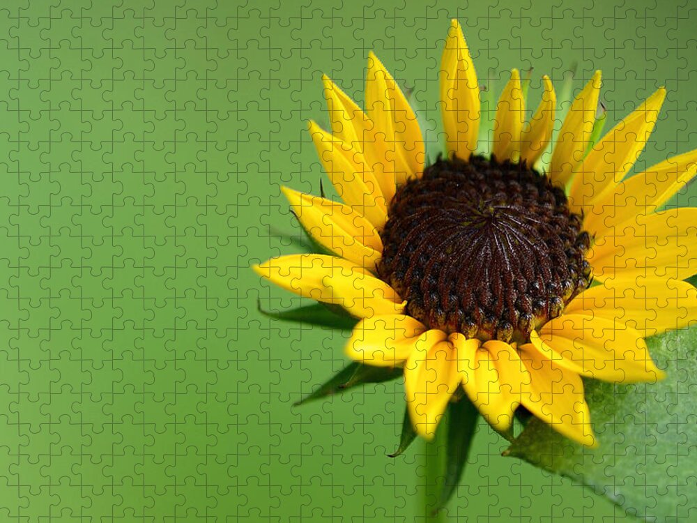 Flower Jigsaw Puzzle featuring the photograph Sensitivity #2 by Melanie Moraga