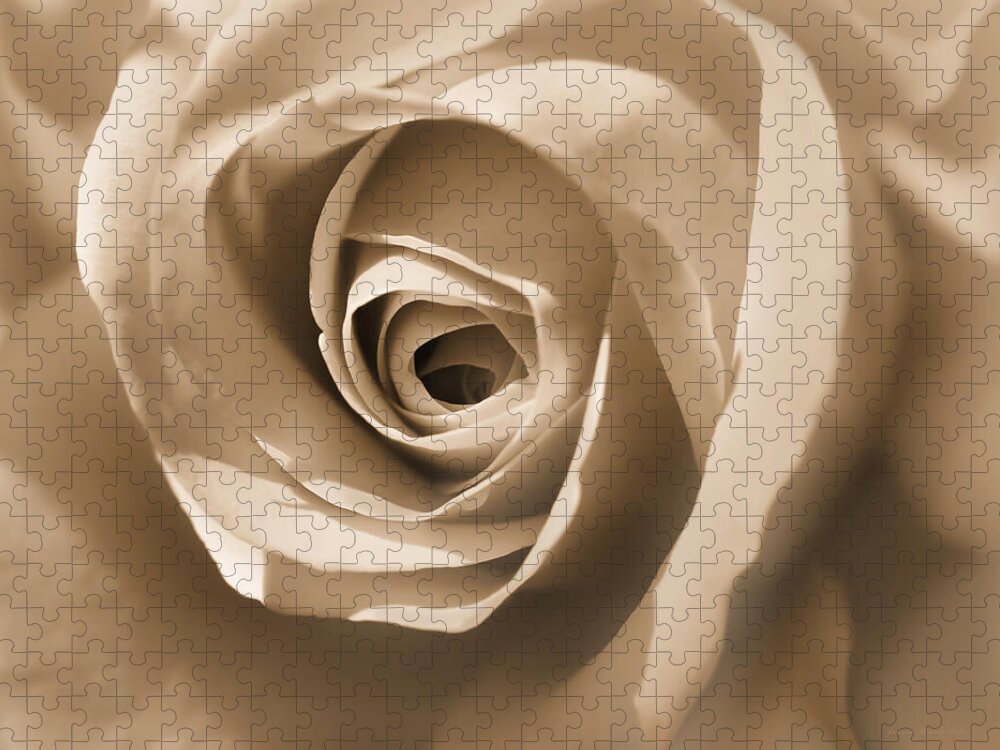 Rose Jigsaw Puzzle featuring the photograph Soft Amber Rose Flower Macro by Jennie Marie Schell