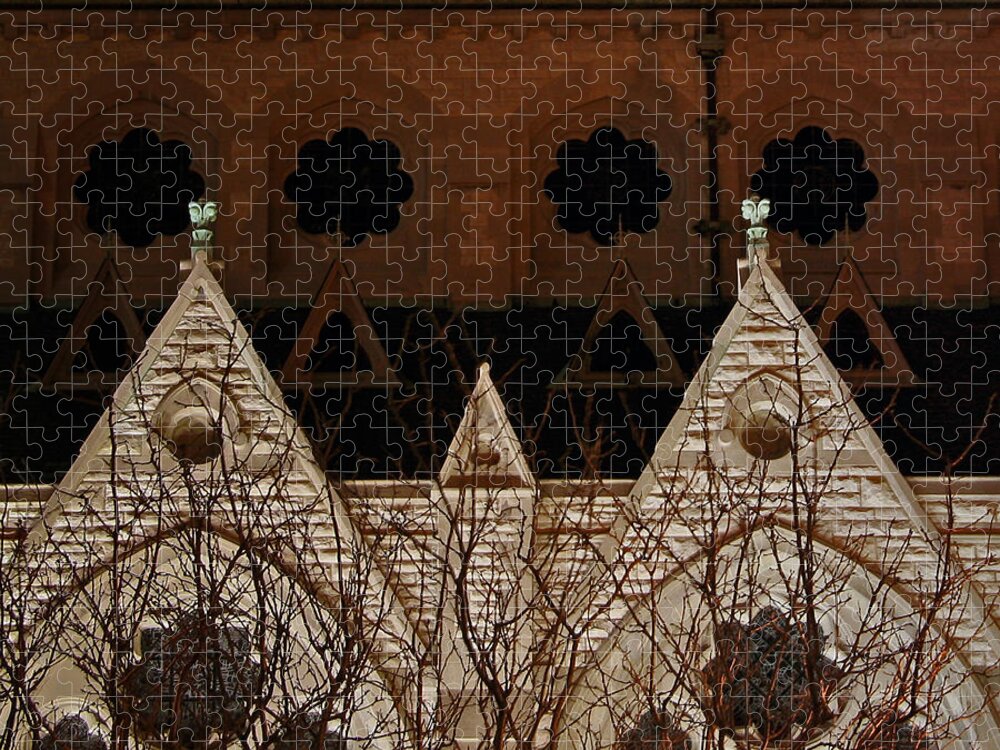 St. Xavier | St. Louis | Slu | Church | St. Louis University | Coblitz Jigsaw Puzzle featuring the photograph St Xavier Church Side #1 by David Coblitz