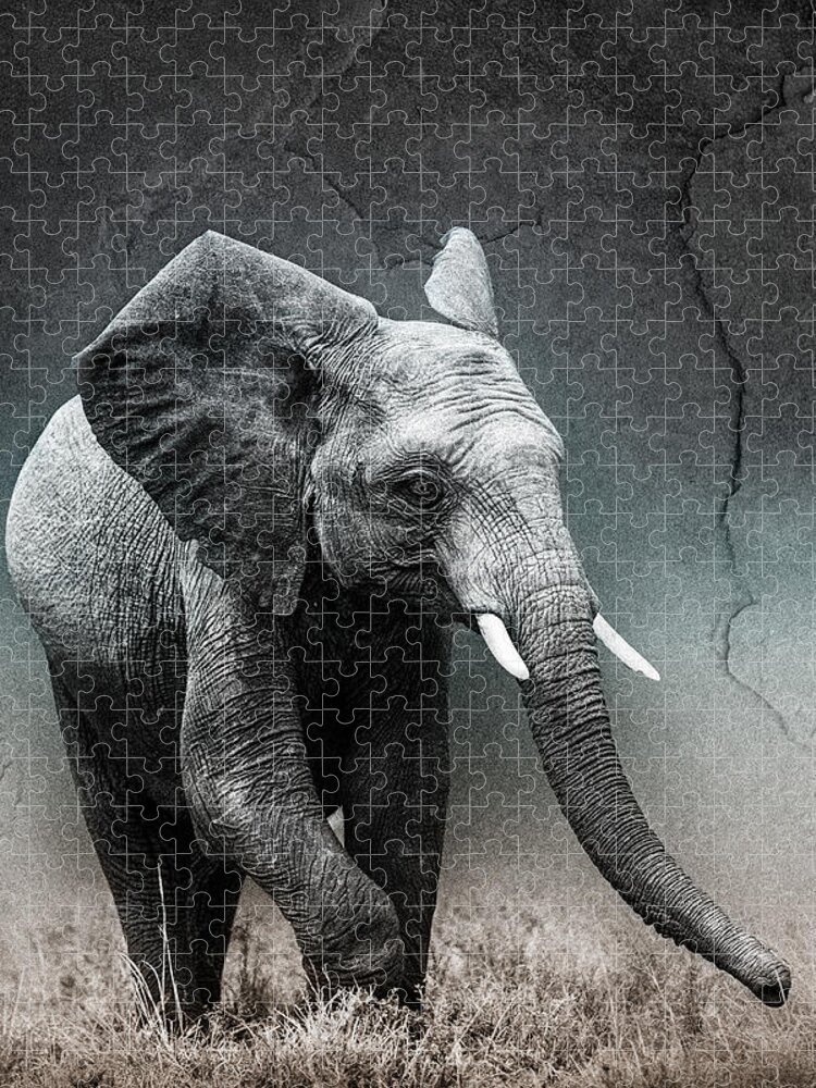 Africa Jigsaw Puzzle featuring the photograph Stone Texture Elephant #1 by Mike Gaudaur
