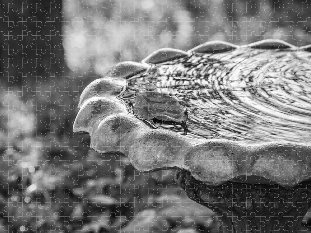 Birdbath Jigsaw Puzzle featuring the photograph Tennessee Birdbath #2 by Carolyn Marshall