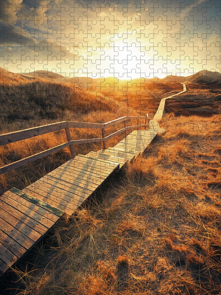 Grass Family Jigsaw Puzzle featuring the photograph Way Through The Dunes #1 by Ppampicture