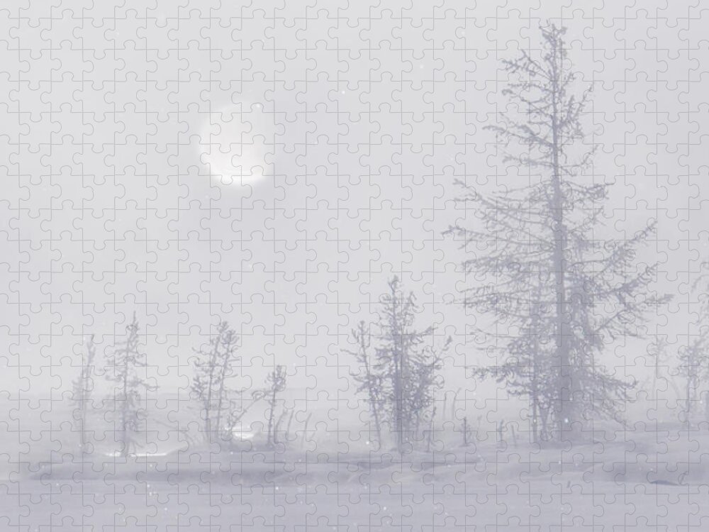 Fog Jigsaw Puzzle featuring the photograph Yellowstone Morning #1 by Priscilla Burgers