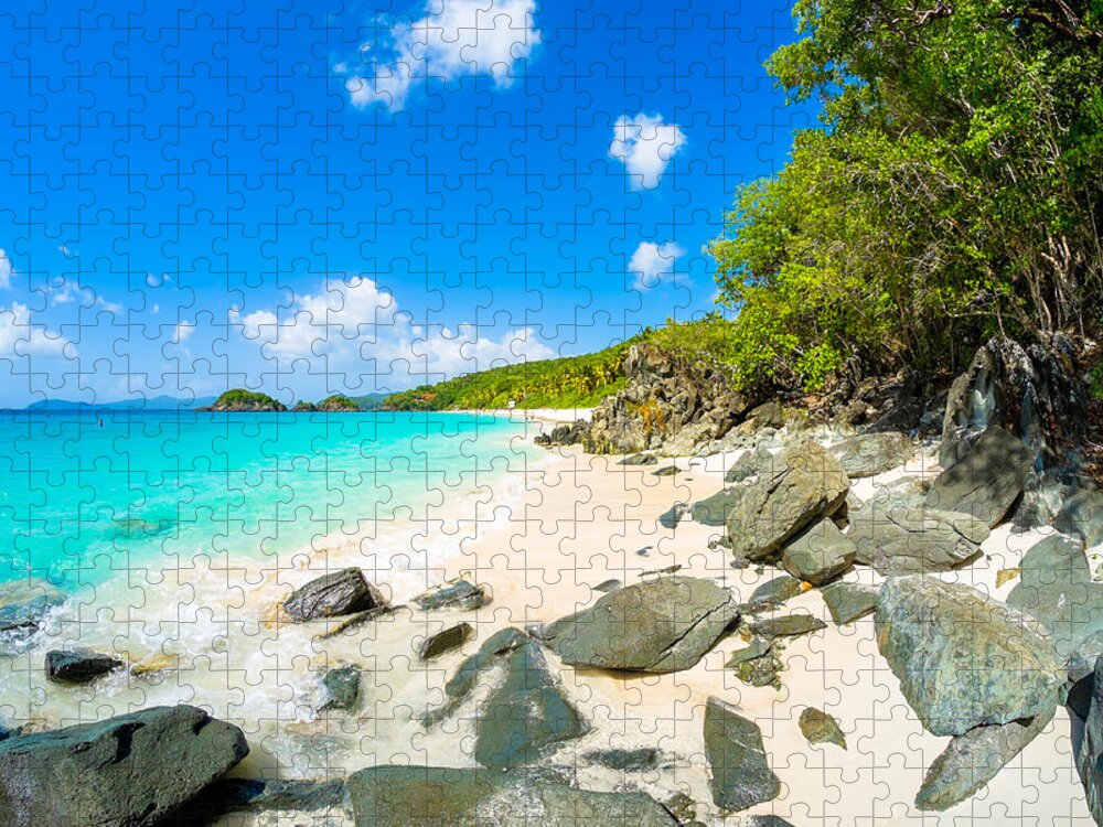 Caribbean Jigsaw Puzzle featuring the photograph Beautiful Caribbean beach #10 by Raul Rodriguez
