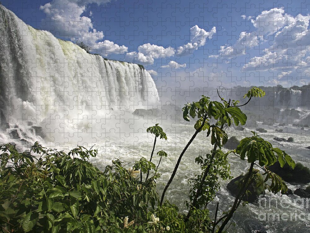 Iguazu Falls Jigsaw Puzzle featuring the photograph 111230p121 by Arterra Picture Library