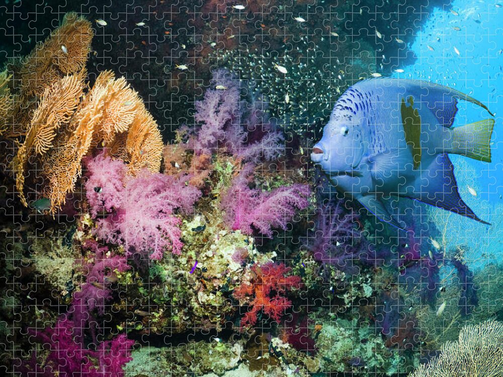 Tranquility Jigsaw Puzzle featuring the photograph Coral Reef Scenery #13 by Georgette Douwma
