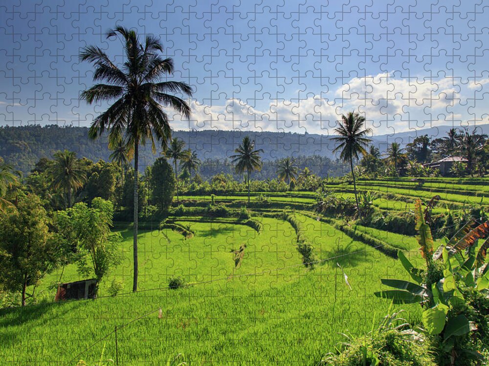 Scenics Jigsaw Puzzle featuring the photograph Indonesia, Bali, Rice Fields And #13 by Michele Falzone