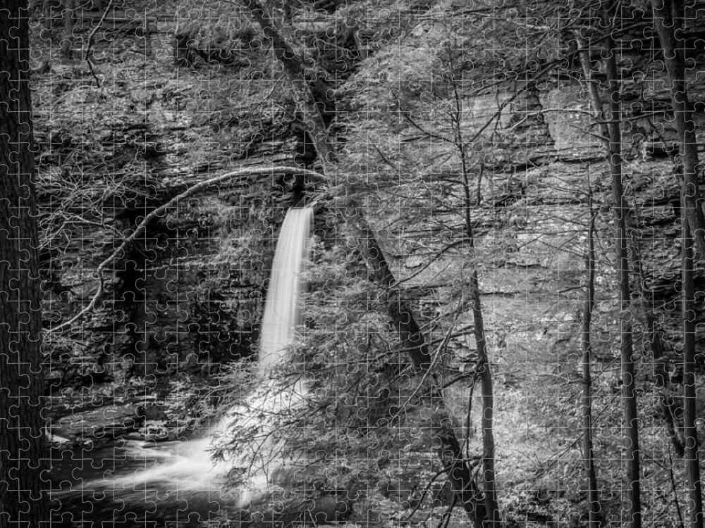George W. Childs State Park Jigsaw Puzzle featuring the photograph Waterfalls George W Childs National Park Painted BW  #13 by Rich Franco